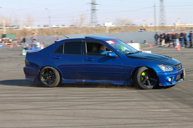 不仅彰显了 不仅彰显了