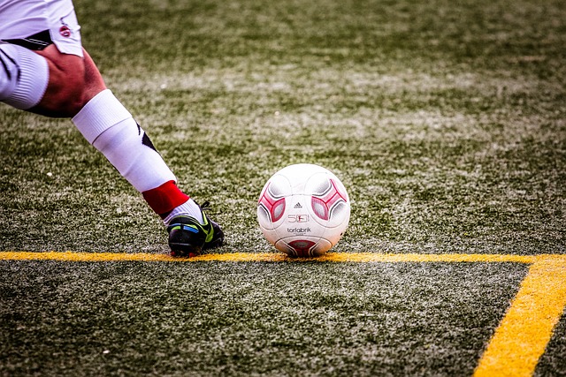 佩德里和法 佩德里和法