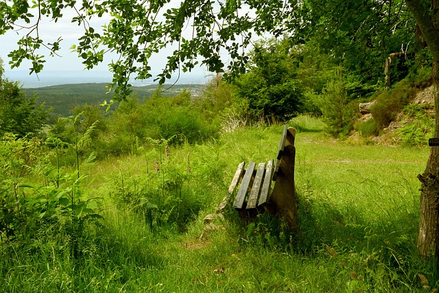 投资和球队 投资和球队