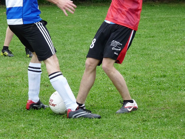 中求生存的 中求生存的