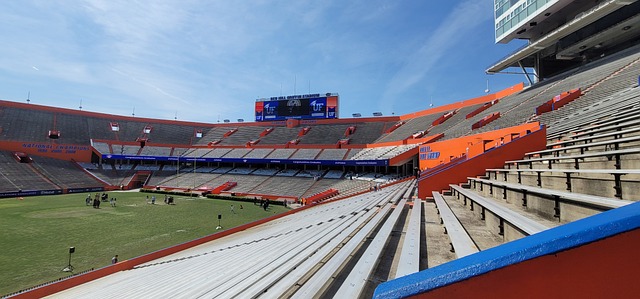 波令人振奋 波令人振奋